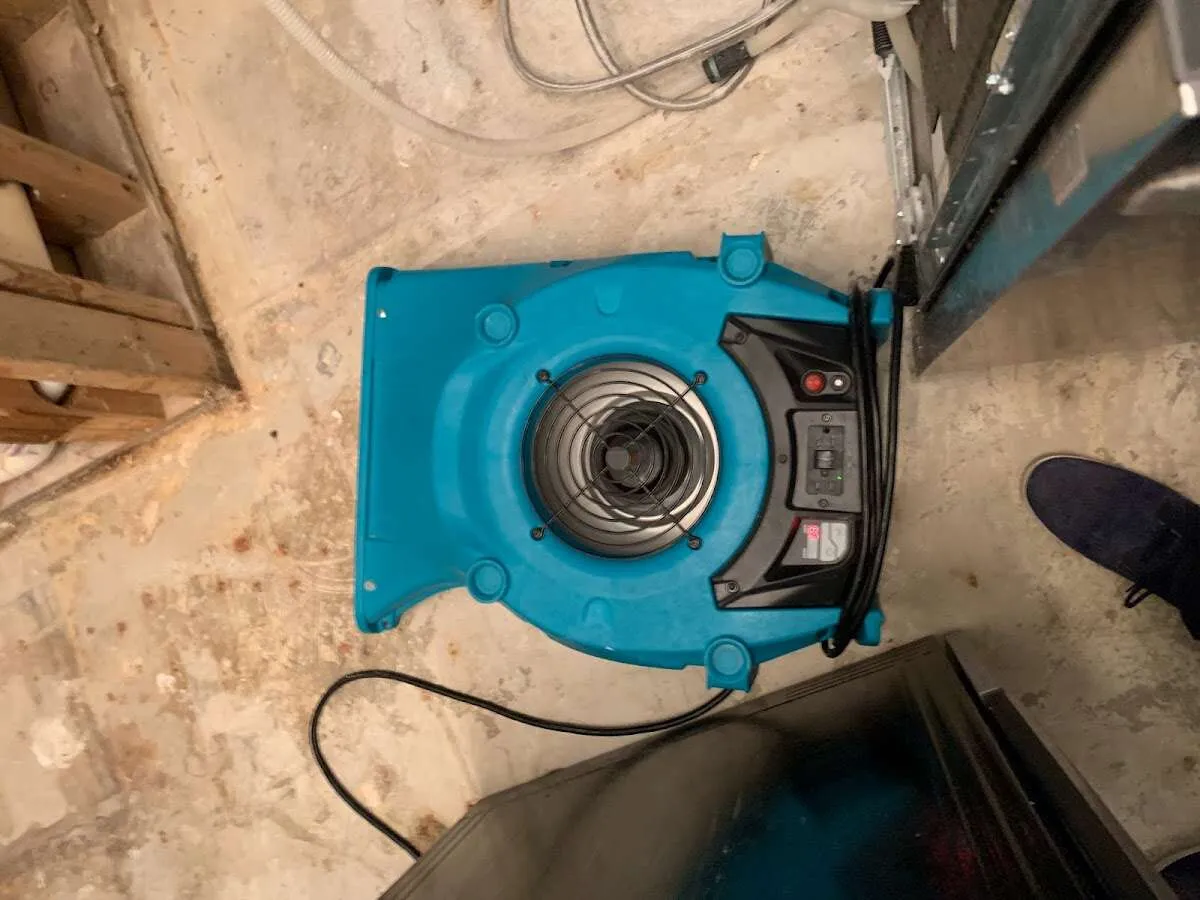 Air mover drying equipment for Mold Remediation & Removal in New Haven